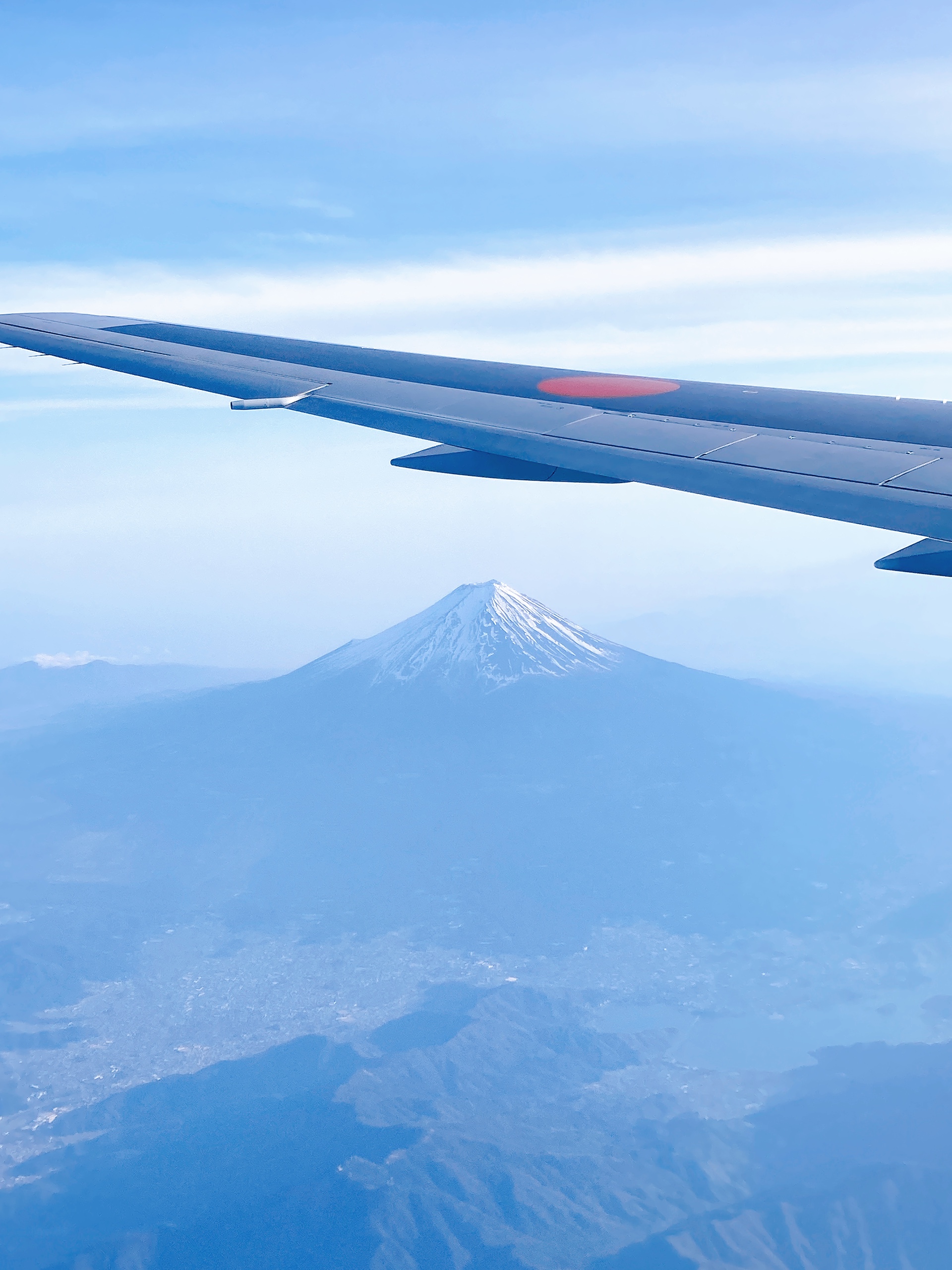 Bringing supply chain transformation insights from Japan to the global stage.